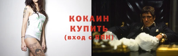 mdpv Богданович