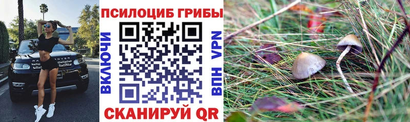нарко площадка официальный сайт Елизаветинская Псилоцибиновые грибы MAGIC MUSHROOMS где купить наркотик